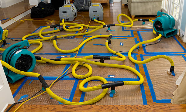 Professional Structural Drying And Dehumidification technician working in Bass Lake, CA